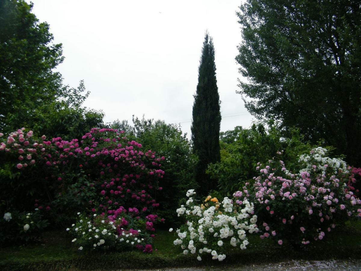 Il Nido Di Rondine *