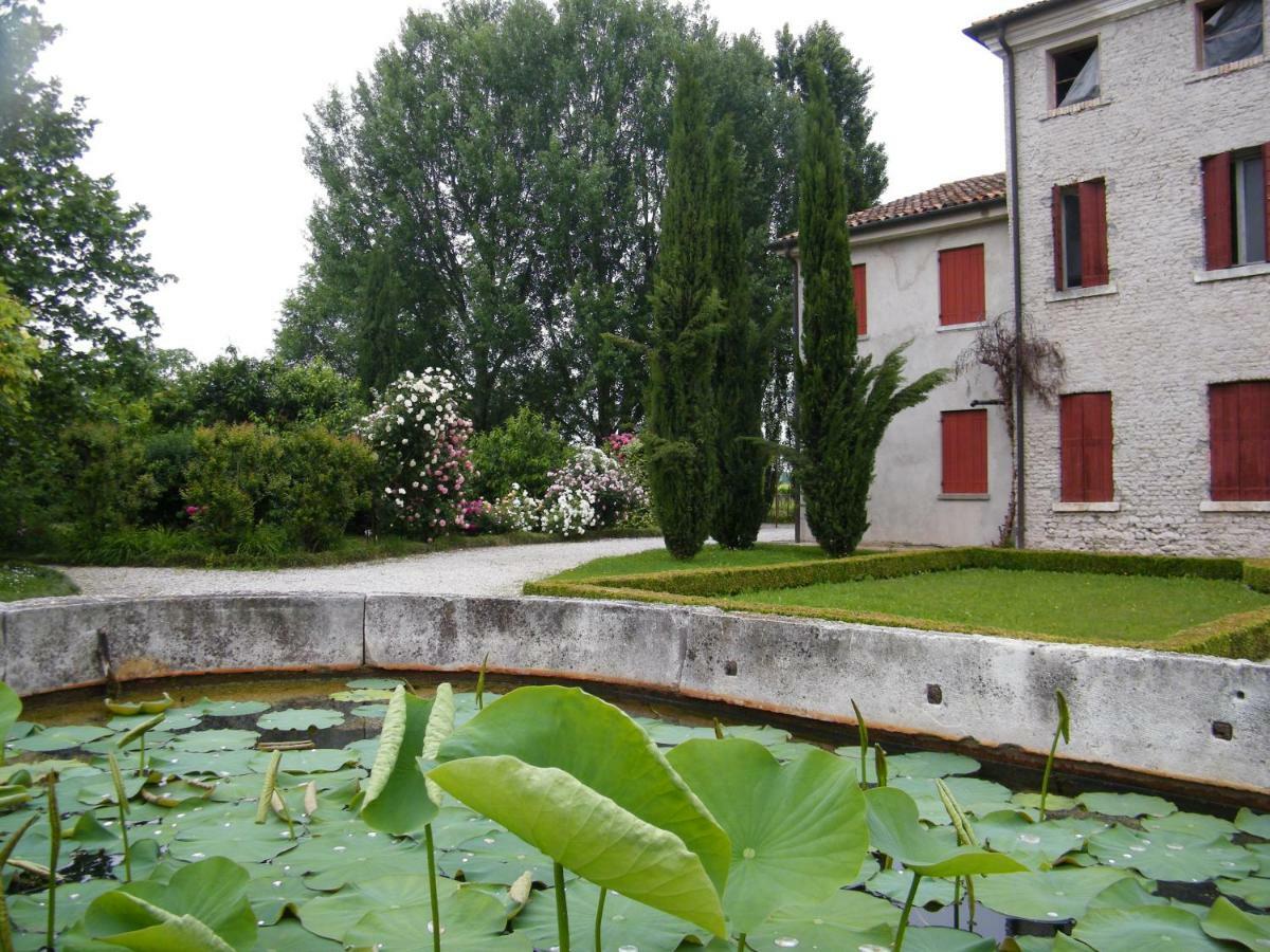 Apartment Il Nido Di Rondine