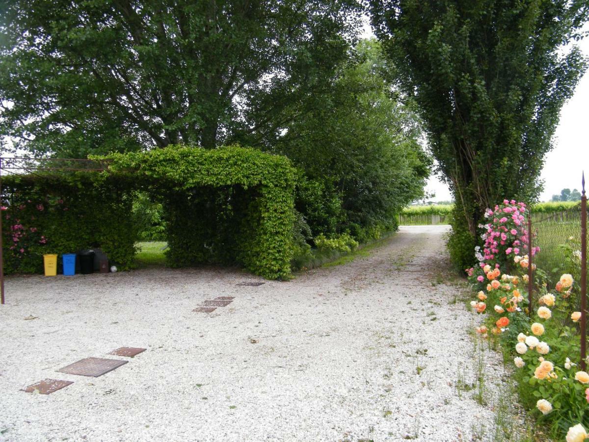 Il Nido Di Rondine Apartment